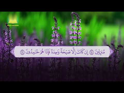 Lexim Kurani që qetëson zemrën | Surja Jasin | Qetësohu me Kuran | Ahmed Al-Nufais