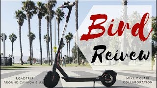RIDE Bird Scooters FOR FREE - The UBER of Electric Scooters Review