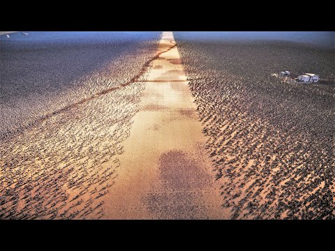 400.000 SPARTAN ARMY vs 2 MILLION ZOMBIES! - Ultimate Epic Battle Simulator 2 | UEBS 2