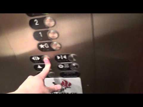 RUINED By Otis Elevator at Carnegie Museum of Natural History Pittsburgh, pa w/TJ