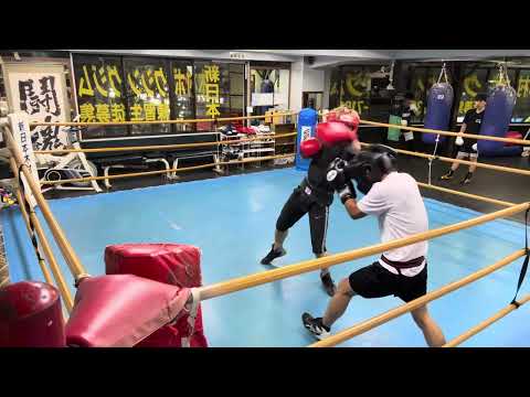 格闘技未経験ボクシング7ヶ月スパーリング白シャツ