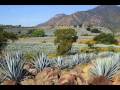 El Tapatío - Vicente Fernández - son de mariachi