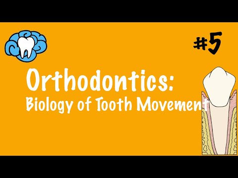 Orthodontics | Biology of Tooth Movement | INBDE, ADAT