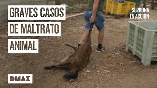 Thumbnail del capítulo