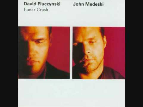 Pineapple - Dave Fiuczynski & John Medeski - Lunar Crush