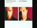 Pineapple - Dave Fiuczynski & John Medeski - Lunar Crush