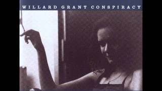 The Visitor - Willard Grant Conspiracy