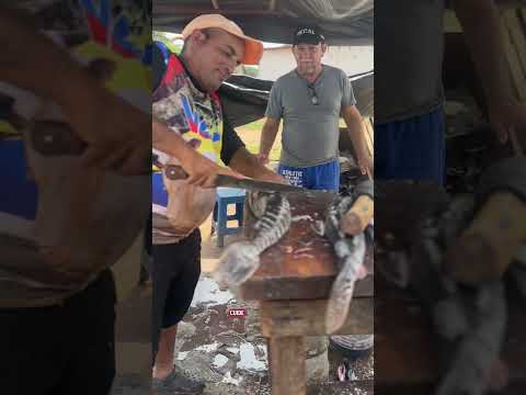 #parati #camaguan #esterosecamaguan #guarico #jorgeguerrero