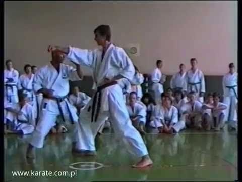 Meridian punch - Tsuguo Sakumoto  | Legendary Budo Masters