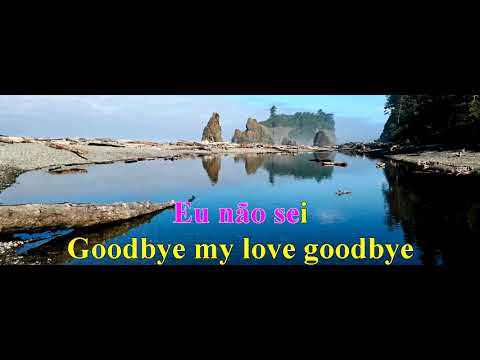 Goodbye my love goodbye - Wanderley Cardoso