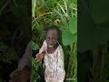 Tanga Tanga Song
