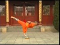 Shaolin Kung Fu Weapon Dharma Sword