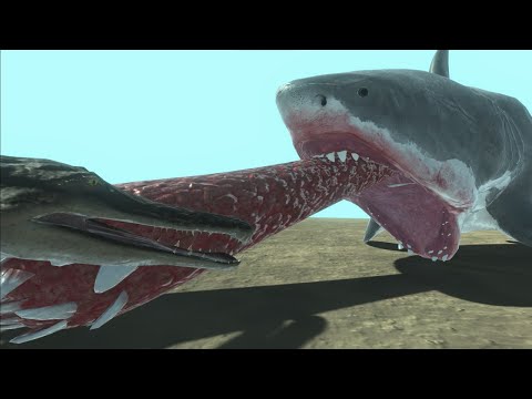 Mutant Megalodon vs machimosaurus rex FAMILY - Animal Revolt Battle Simulator