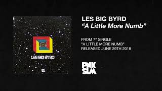 Les Big Byrd – "A Little More Numb" (OFFICIAL AUDIO)