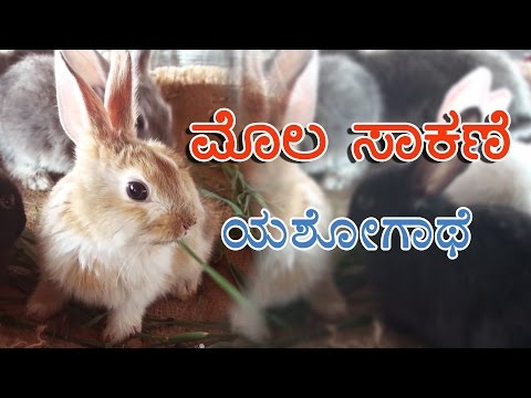 Rabbit farming : a success story in kannada