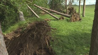 Seneca storm damage