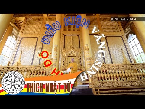 Điều kiện vãng sinh Tịnh Độ - Thích Nhật Từ