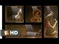 Madagascar 2005 Shipped To Africa Scene 2 10 Movieclips