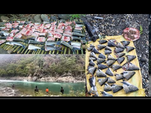 #Fishing in Tizü river with Dynamite #catching big fish's #nagaland #atsathoviiri!.