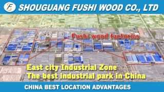 preview picture of video 'The location advantages of Fushi furnitures OEM & ODM manufacturing services'