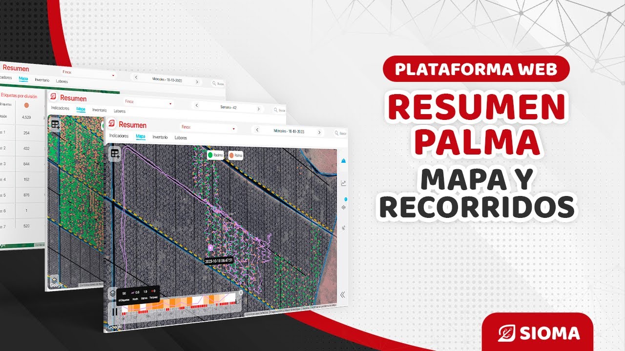 SIOMA WEB Palma: Resumen, Mapa