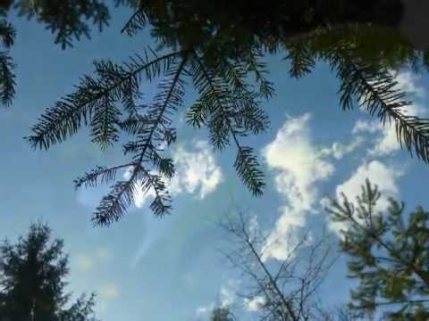 Algis Frankonis Sielos svajonė