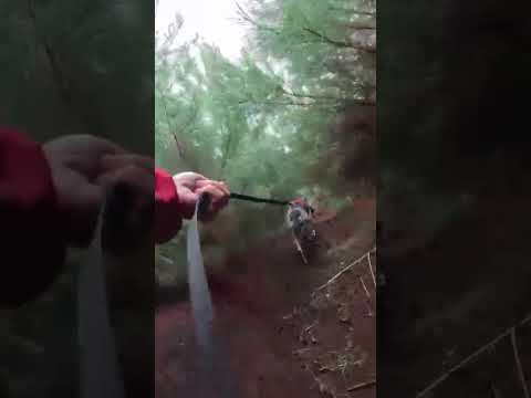 Bombeiros fazem buscas há 6 dias por idosa desaparecida entre Guarapuava e Inácio Martins