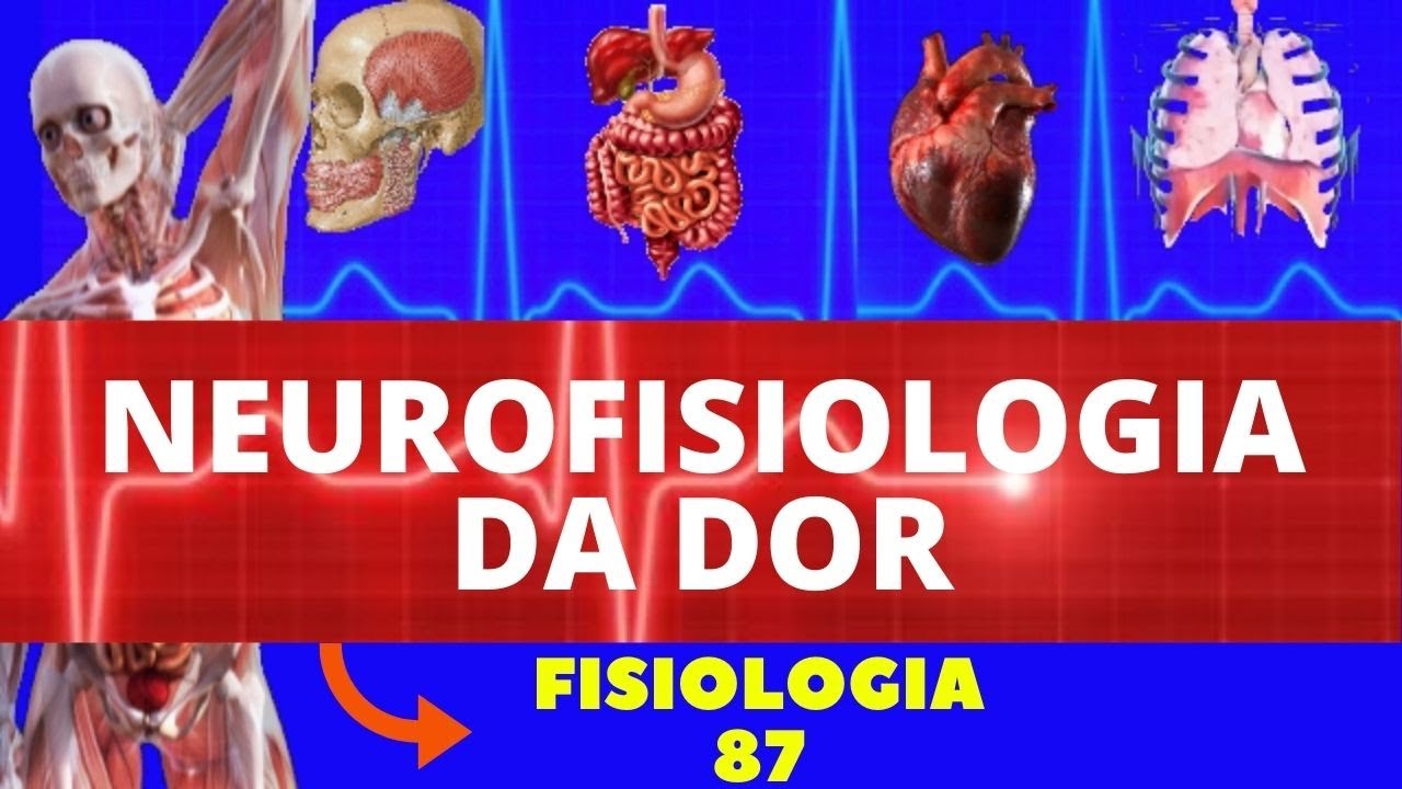 NEUROFISIOLOGIA DA DOR (FISIOLOGIA DE GUYTON) - NOCICEPÇÃO E FISIOLOGIA DA DOR - NEUROFISIOLOGIA