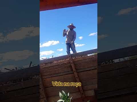 fazenda Diniz besouro de são Gabriel ba