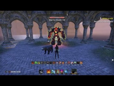 84.5k dps Breton [non vampire] Magicka Warden Greymoor