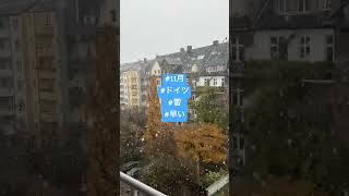 #11月 #ドイツ #雪 #早い