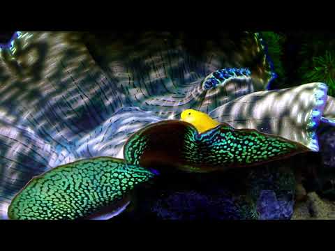 210118 Size comparison