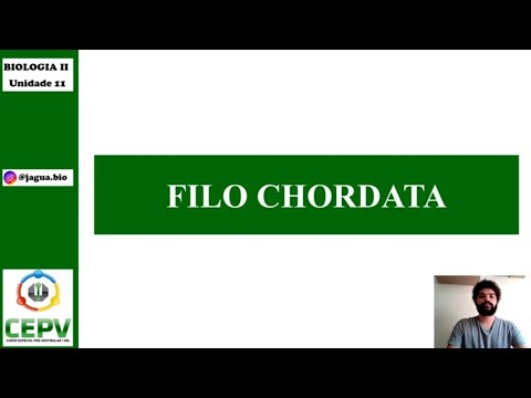FILO CHORDATA