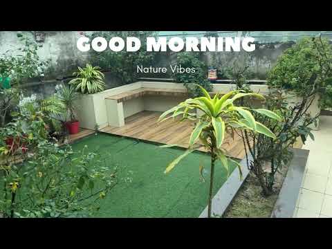 Morning Nature Vibe | Good Morning