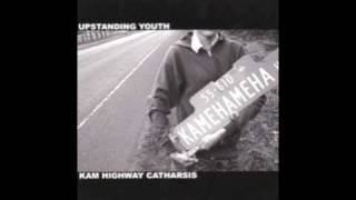 Upstanding Youth - Paint By Numbers