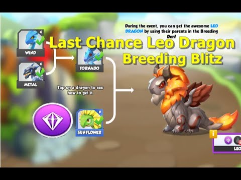 Last Chance Leo Dragon-Dragon Mania legends | Sugar Rush and Floral Friends Event | DML