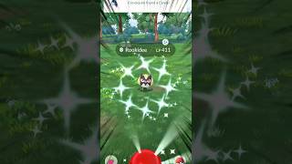 Shiny Pokémon Monday: Shiny Rookidee! #Pokemon #PokemonGo #ShinyPokemon #ShinyHunting