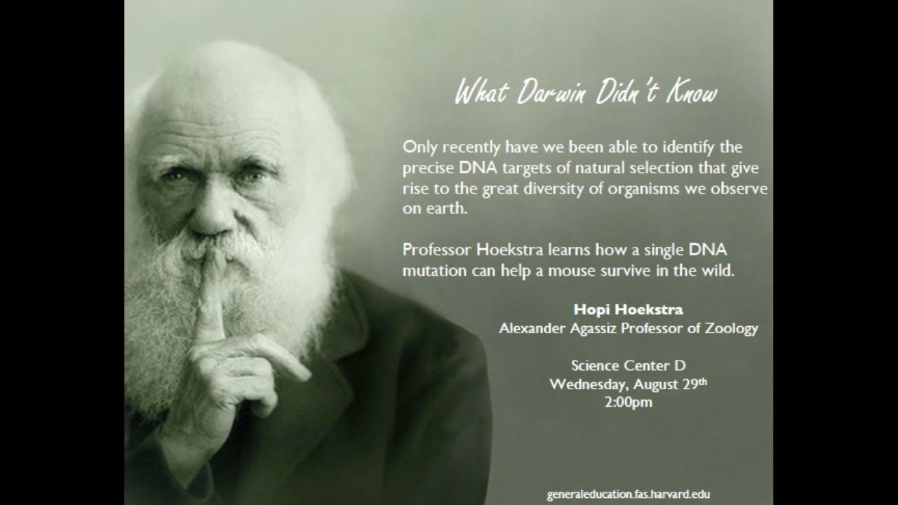 What Darwin Didn't Know