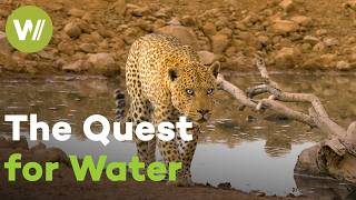 Chasing Water in Southern Africa: From Victoria Falls to the Namib Deser