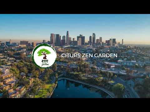 3D Tour Of Citrus Zen Garden