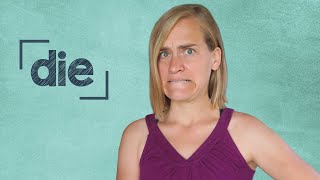 German Lesson (28) - Definite Articles - die - A1