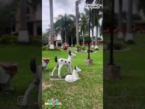 Fincas y Casas Campestres, Alquiler, Palmira - $1.000.000