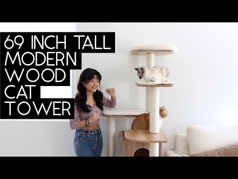 TANGKULA Modern Wood Cat Tree Assembly | Sven and Robbie