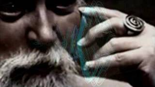 Robert Anton Wilson On The Acceleration To A New Better Reality