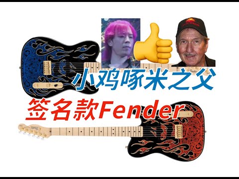 买不到金花的Fender 8602，买红蓝火焰的新款可以吗？能出黄贯中音色吗？和其它Strat或Tele有什么区别。