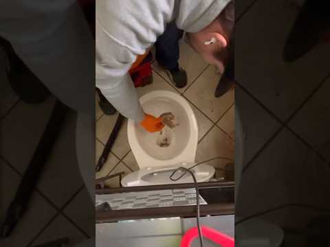 We’re Gonna Know! #plumbing #cloggedtoilet #flushablewipes