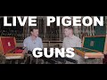 What Is A Live Pigeon Gun
