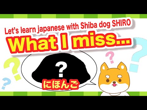 What I miss... (Let's learn Japanese with Shiba dog SHIRO)😊🇯🇵にほんご🌸