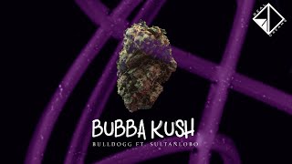 Bubba Kush - Bulldogg ft. Sultanlobo - Real Dreams (Official Music Video)