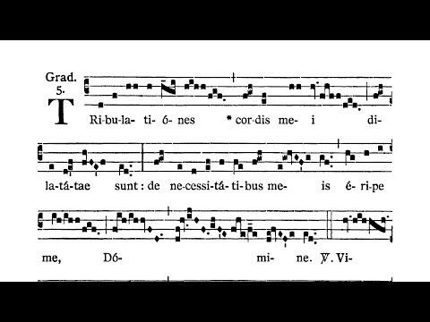 Feria IV Quatuor Temporum Quadragesimae (Ember Wednesday) - Graduale (Tribulationes cordis mei)